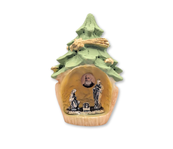 NACIMIENTO RESINA PINO